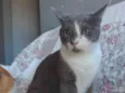 Sophie