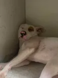 Terror