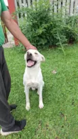 Bianco