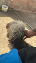 Bob