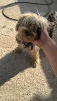 Bob