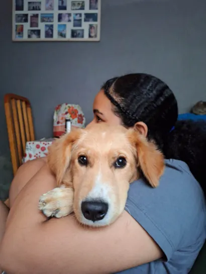 Cachorro raça SRD-ViraLata idade 1 ano nome Apollo