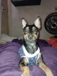 Billy