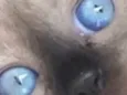 Zion