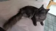 lua e jujuba