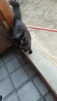 lua e jujuba