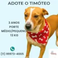Américo