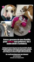 chica