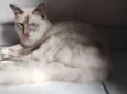 Marie