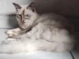 Marie