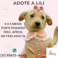 Lili