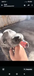 Apollo