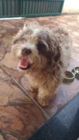 Desconhecido