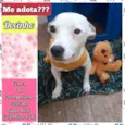 Docinho