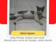 Garapa