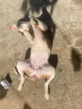 Minininho e menininha