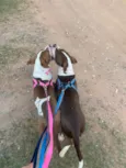 Minininho e menininha