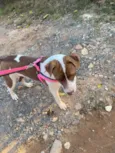 Minininho e menininha