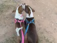 Minininho e menininha