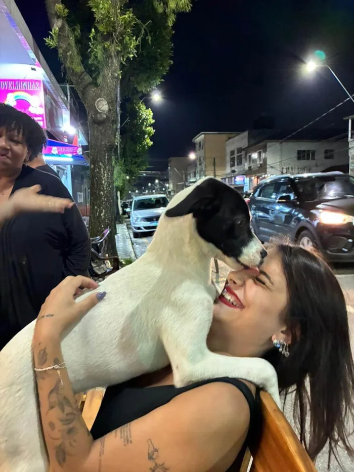 Cachorro ra a SRD-ViraLata idade 2 a 6 meses nome Não sei 