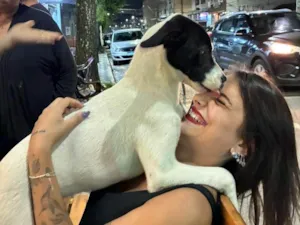 Cachorro raça SRD-ViraLata idade 2 a 6 meses nome Não sei 