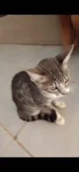 Lili