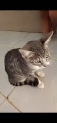 Lili