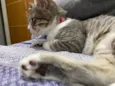 Mia e Banguela