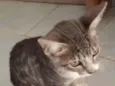 Lili