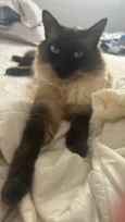 Tom