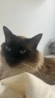 Tom