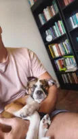 Lulu