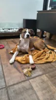Lulu