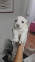 Jully