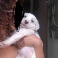 Jully