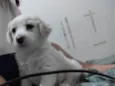 Jully