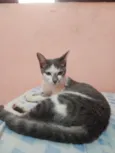 Lua