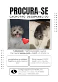Floquinho