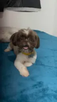 Sheldon