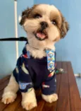 Paçoca