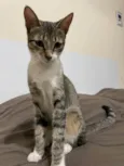 Funny