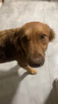 Mel