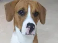 Spike