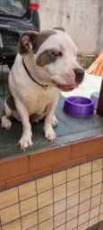 Ramona