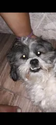 Killer