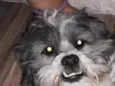 Killer