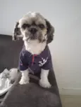 Tobias