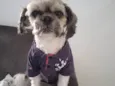 Tobias