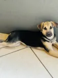 Mel