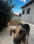 Mel
